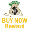 Buy Now Reward - Penny Auction Software